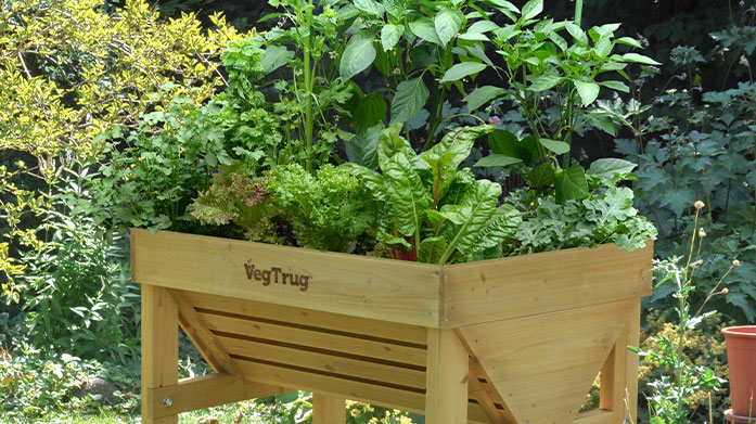VegTrug: Grow Your Own Introducing: VegTrug, the sustainably conscious garden brand that encourages you to grow your own veggies, fruits and herbs. Shop grow kits, wooden planters and more.