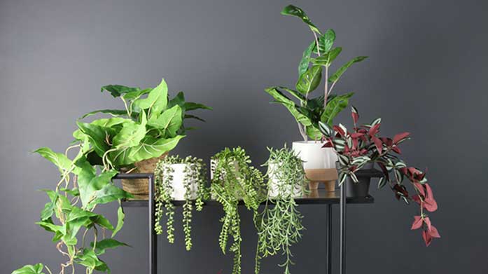 Designer Faux Plants, Flowers & Vases