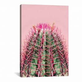 Cactus On Pink Canvas Print 102x66cm - BrandAlley