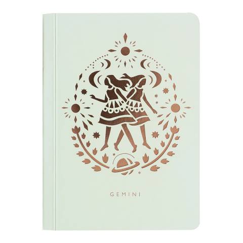 Notebook Collection Gemini Notebook