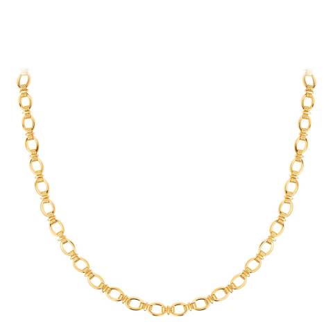 Astrid & Miyu Ribbed Link Chain Necklace in Gold
