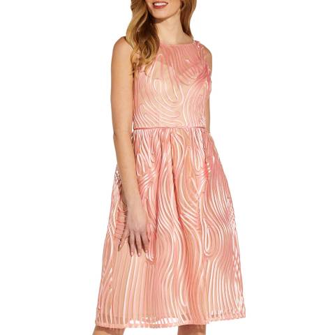 Adrianna Papell Blush Ribbon Embroidered Dress