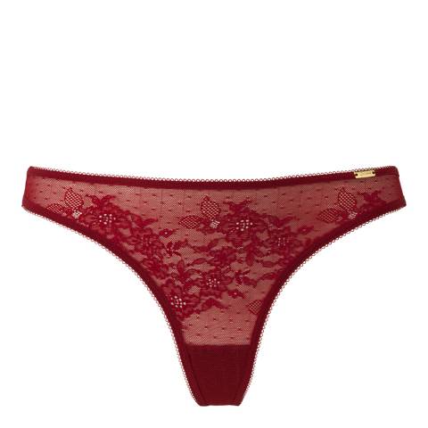 Gossard Bordeaux Glossies Lace Thong