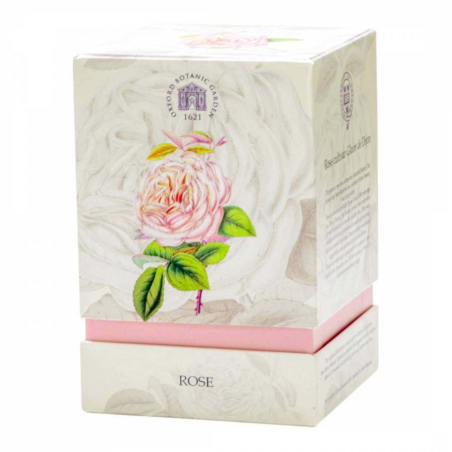 Rose Glass Candle 220g - BrandAlley
