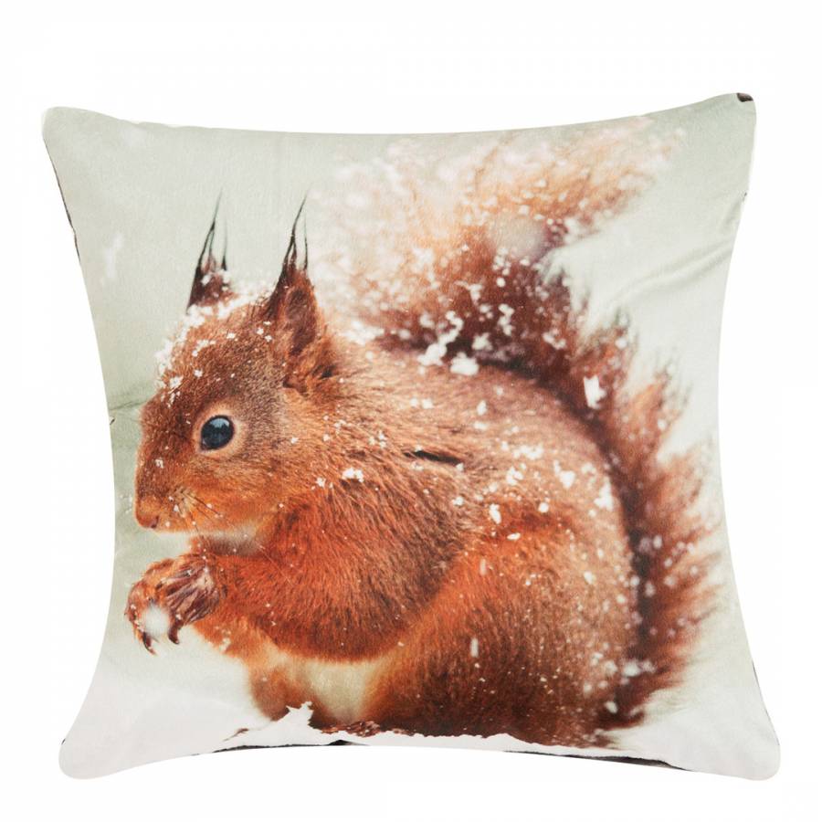 Squirrel Cushion - BrandAlley