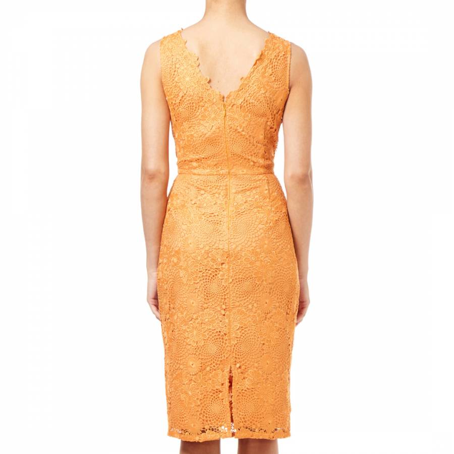 Hibiscus Orange Crotchet Lace Sheath Dress - BrandAlley