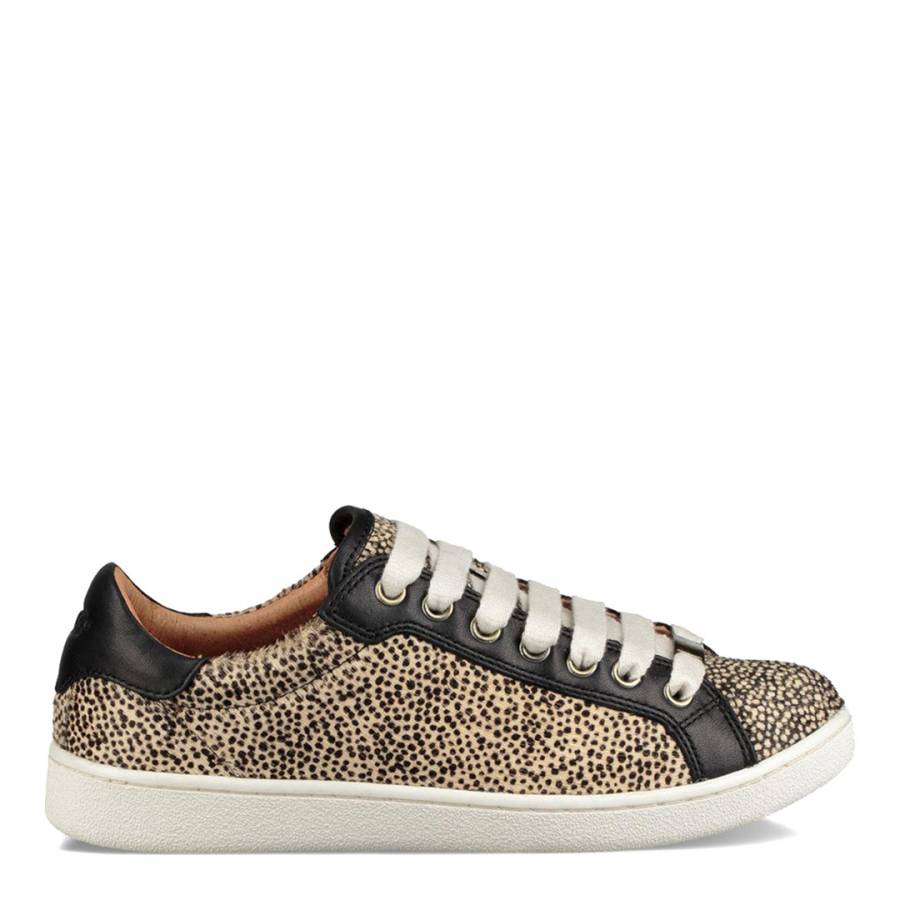 Black Tan Dotted Milo Exotic Sneakers - BrandAlley