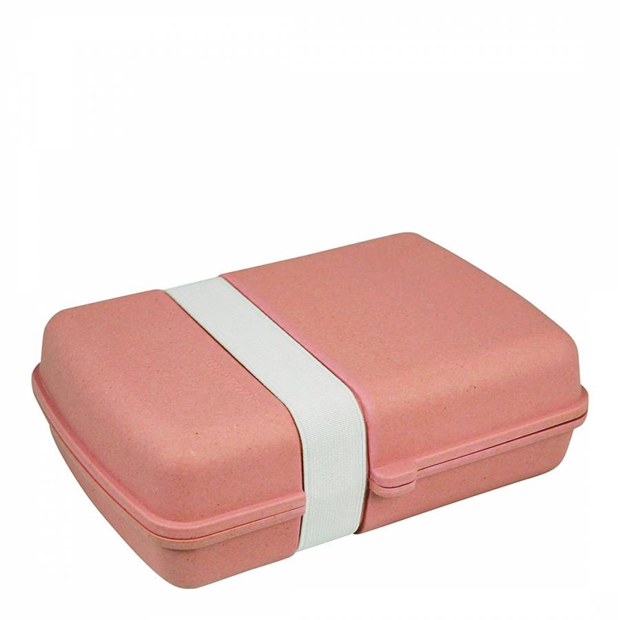 Pink Lunchtime! Lunchbox - BrandAlley