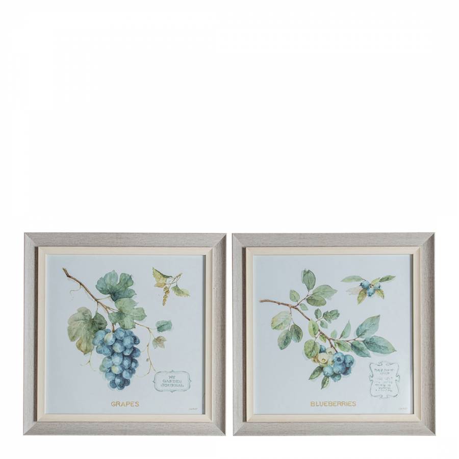 Berries Framed Art Set of 2 50x50cm - BrandAlley