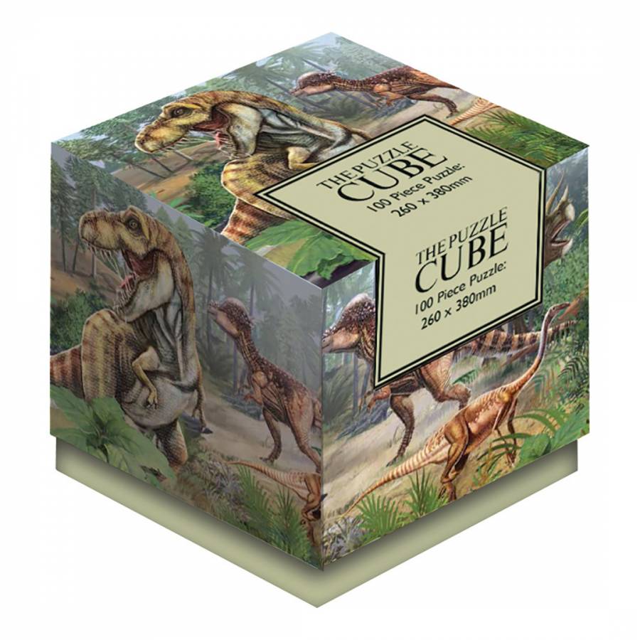Earth 100 Piece Jigsaw Puzzle The Puzzle Cube