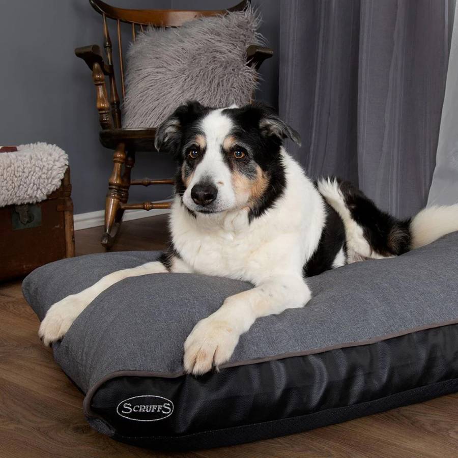 Scruffs hilton sale memory foam