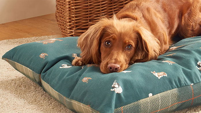 Le Chameau, Laura Ashley, Fat Face & More Pets Calling all pet lovers! Treat your furry friends to new collars, cute coats, box beds and raincoats from Kate Spade, Le Chameau and friends.