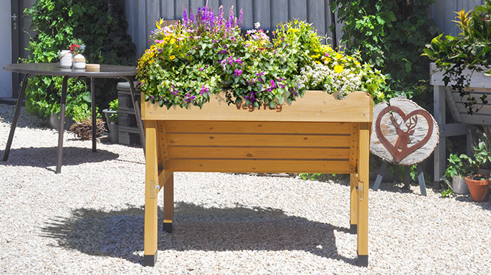 VegTrug: The Perfect Gift For Plant Lovers Introducing: VegTrug, the sustainably conscious garden brand that encourages you to grow your own veggies, fruits and herbs. Shop grow kits, wooden planters and more for your favourite gardener.