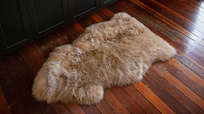 Auskin Sheepskin Accessories & Rugs Look to Auskin Sheepskin for sheepskin rugs, cushions and throws in a range of trending colours.