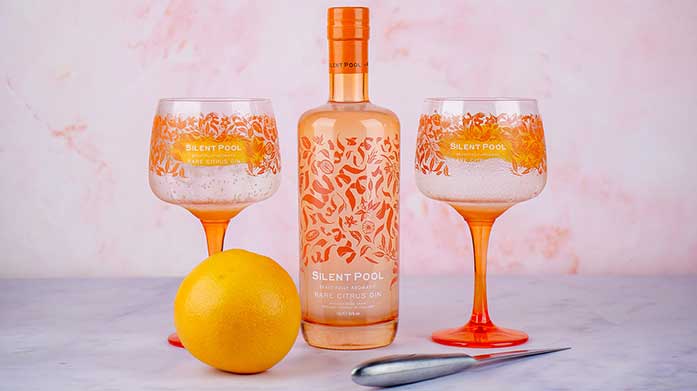 Silent Pool Gin The perfect gift for a gin lover, this Silent Pool gift set includes a 70cl bottle of the brand's Rare Citrus gin, along with two beautiful goblet glasses.