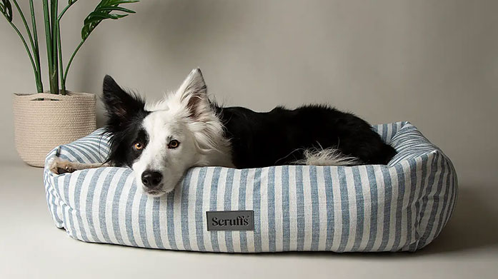 Scruffs: Premium Pet Bedding